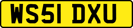 WS51DXU