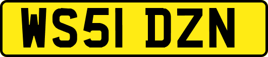 WS51DZN