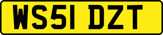 WS51DZT