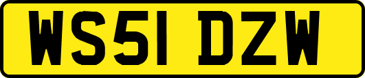 WS51DZW