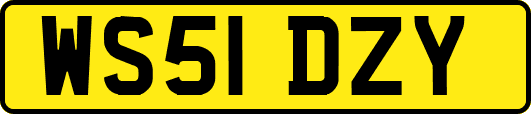 WS51DZY