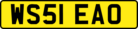 WS51EAO