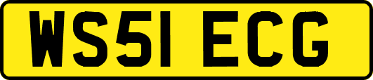 WS51ECG
