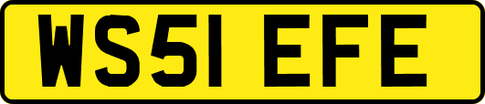WS51EFE