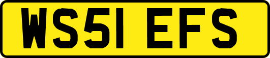 WS51EFS