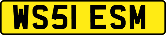 WS51ESM