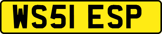 WS51ESP