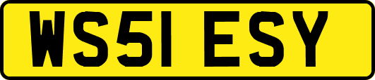 WS51ESY