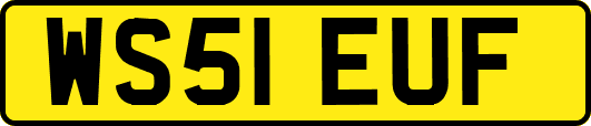 WS51EUF