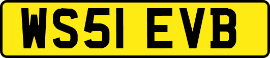 WS51EVB