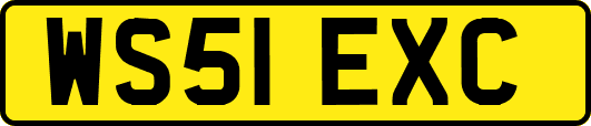 WS51EXC