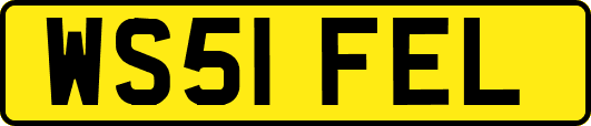 WS51FEL