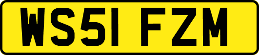 WS51FZM