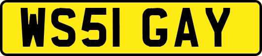WS51GAY