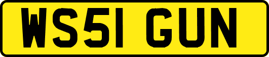 WS51GUN