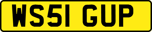 WS51GUP