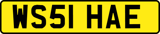 WS51HAE