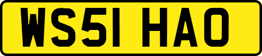 WS51HAO