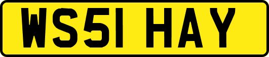 WS51HAY