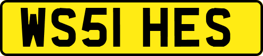 WS51HES