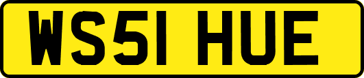 WS51HUE