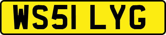 WS51LYG