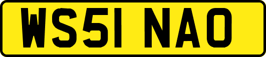 WS51NAO