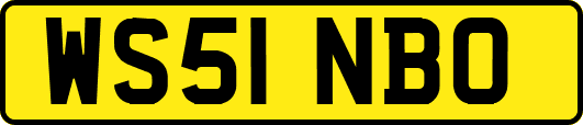 WS51NBO