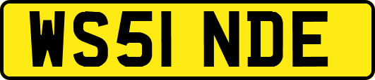 WS51NDE