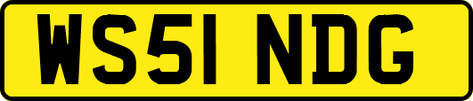 WS51NDG