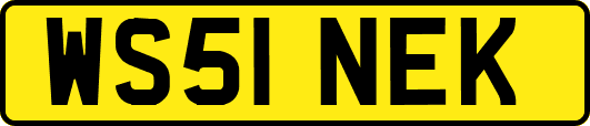 WS51NEK