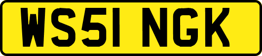 WS51NGK