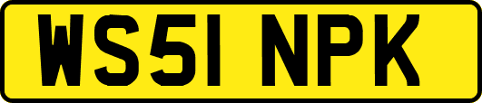 WS51NPK