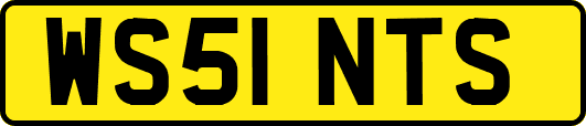 WS51NTS