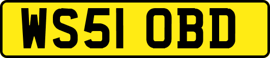 WS51OBD