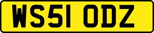 WS51ODZ