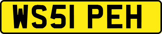 WS51PEH