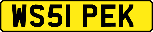 WS51PEK
