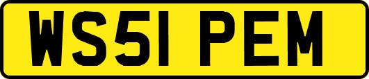 WS51PEM
