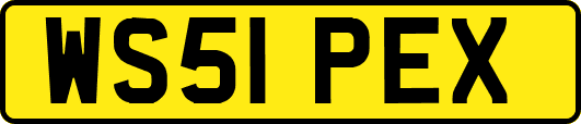WS51PEX