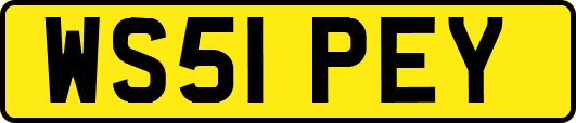 WS51PEY