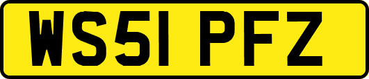 WS51PFZ