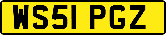 WS51PGZ