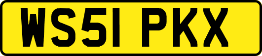 WS51PKX