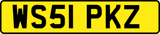 WS51PKZ