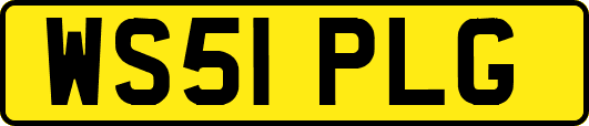 WS51PLG
