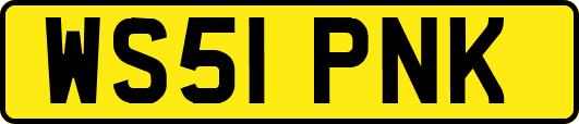 WS51PNK