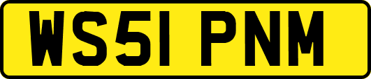 WS51PNM