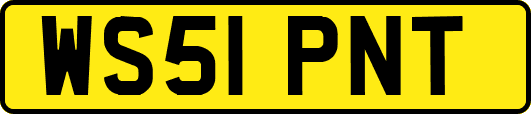 WS51PNT