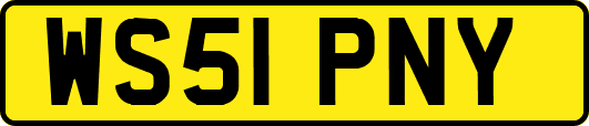WS51PNY
